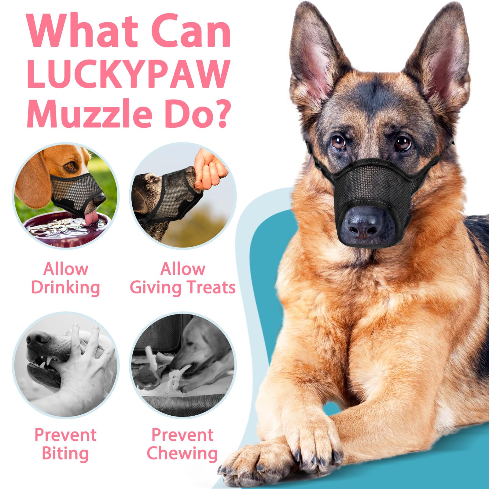 LUCKYPAW Muzzle para entrenamiento guiado con video y guía.