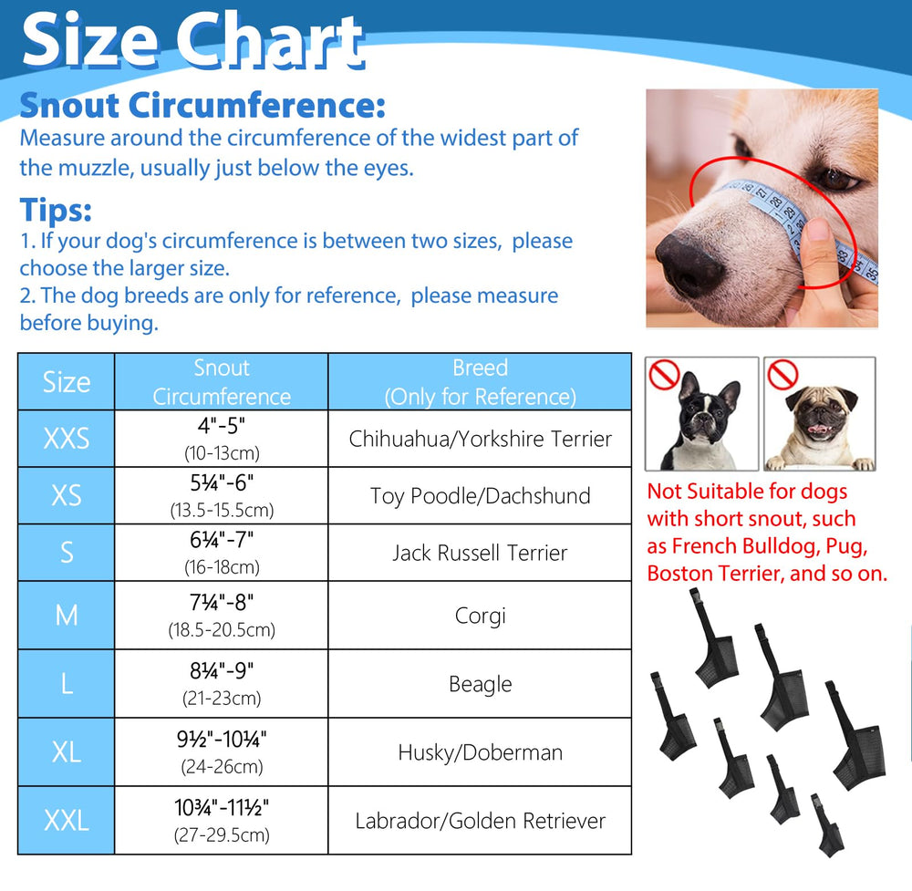 Luckypaw quick-wear buckle with adjustable straps for fast fitting