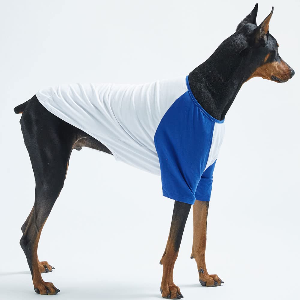 Lucky Petter easy-fit elastic breathable shirt ideal for quick on/off and flexible movement.