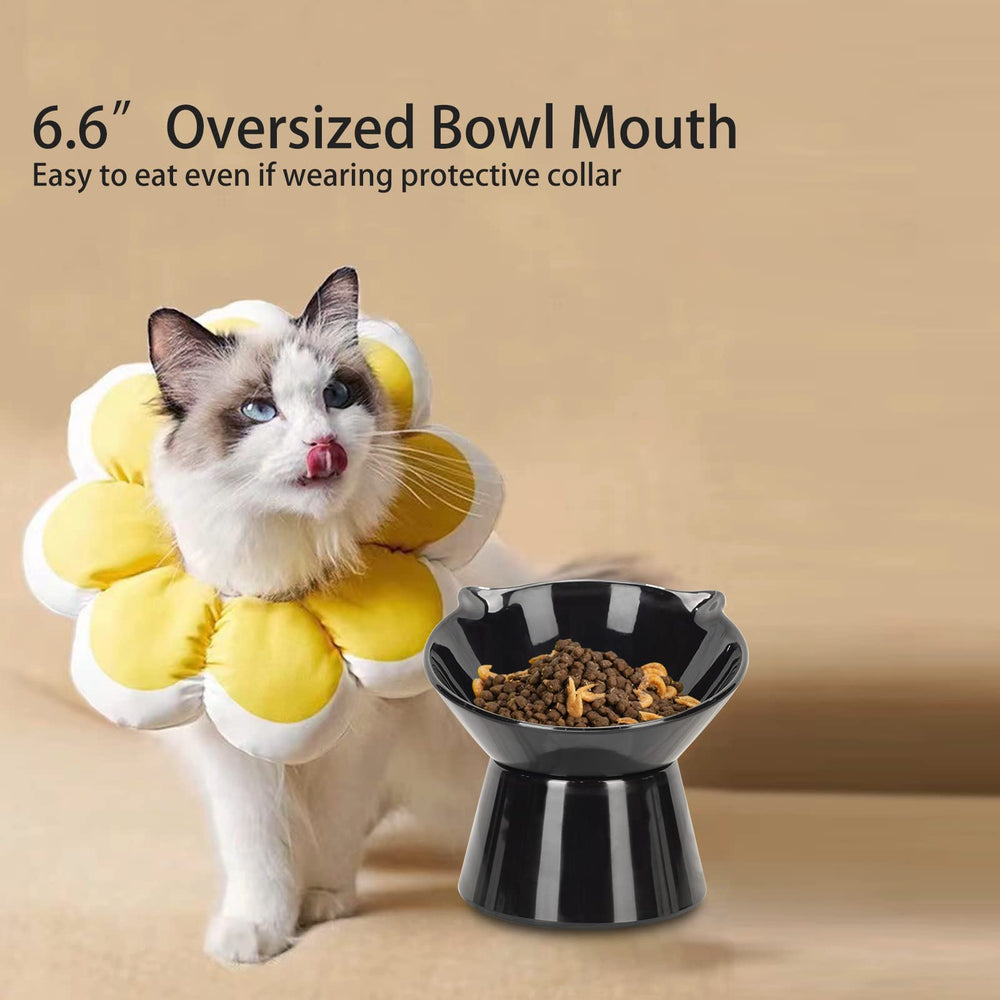 LuckyPots glossy-finish cat bowl suits both adult cats and kittens.