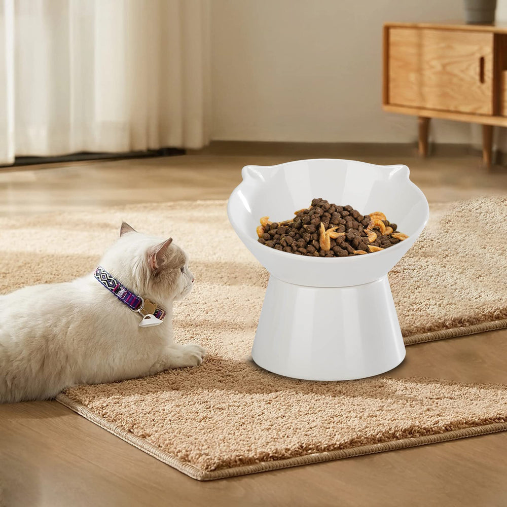 LuckyPots bowl diameter 6.6 inches fits medium cat portions