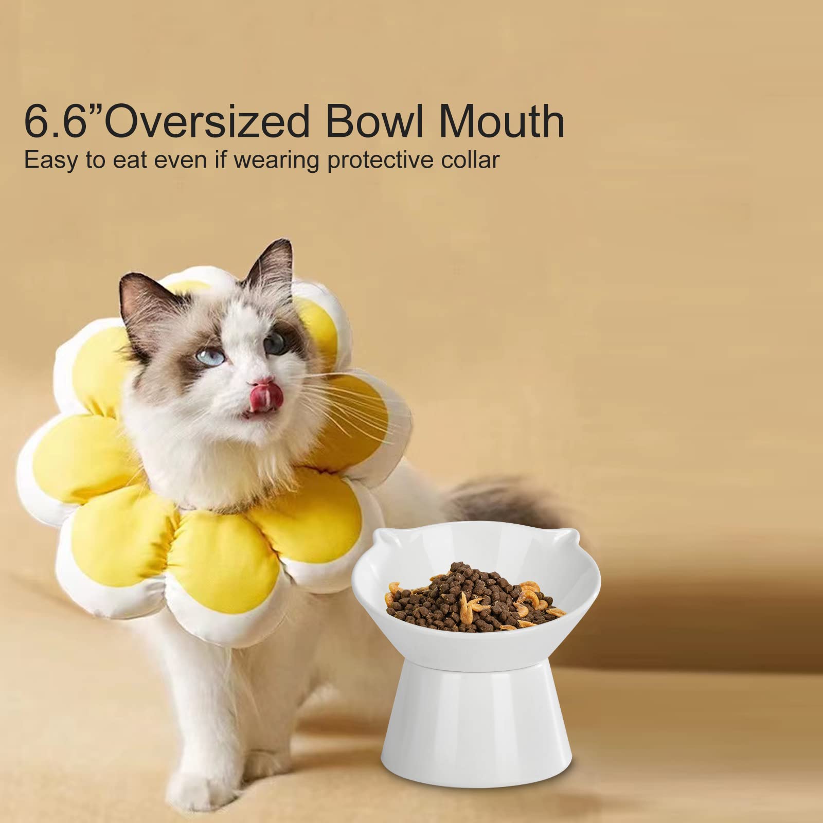 LuckyPots in-use setup shows elevated feeding for cats
