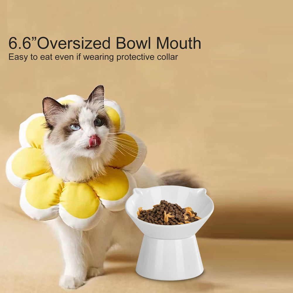 LuckyPots in-use setup shows elevated feeding for cats