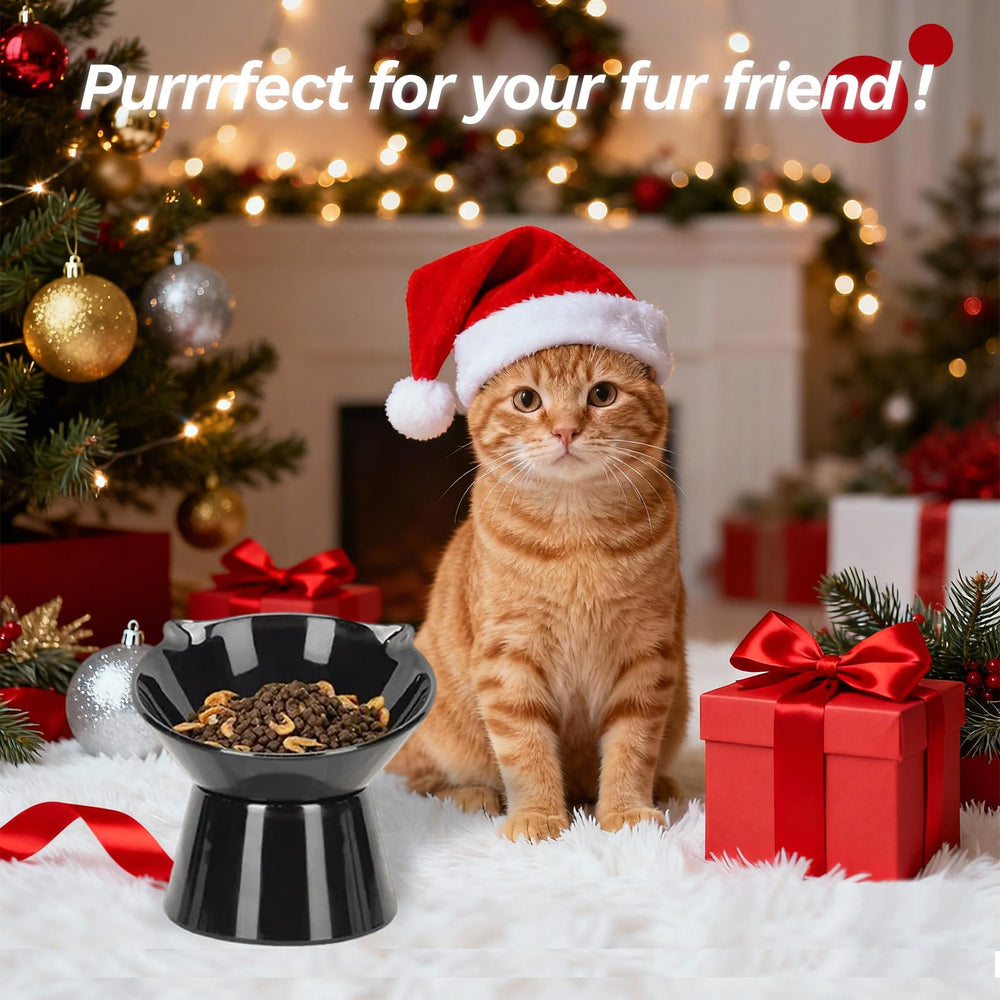 LuckyPots detachable elevated cat bowls fit neatly into any mealtime setup.