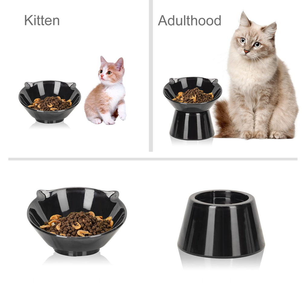 LuckyPots whisker-friendly elevated bowl demonstrates spine-friendly height and better meal posture.