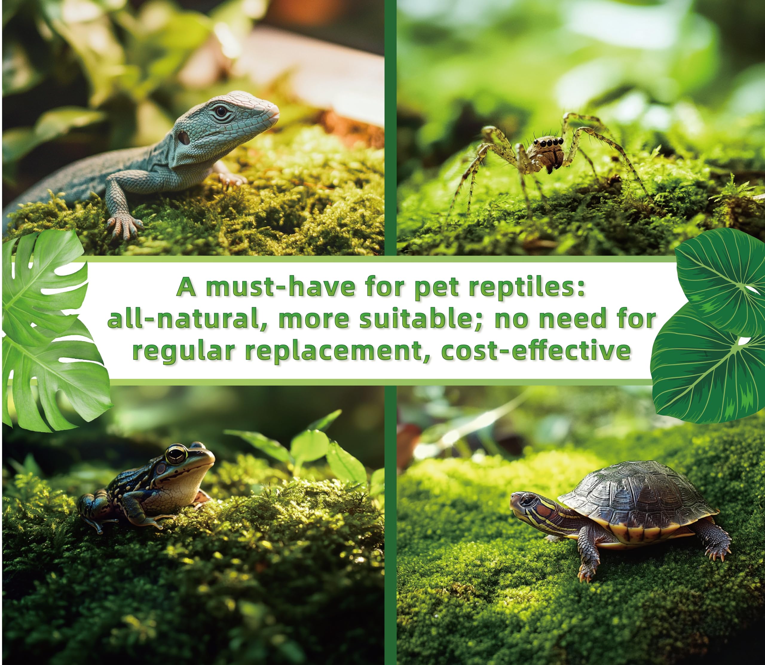 LUCKYRUNES Live Moss mist-activation enables quick revival for ready-to-use terrariums.