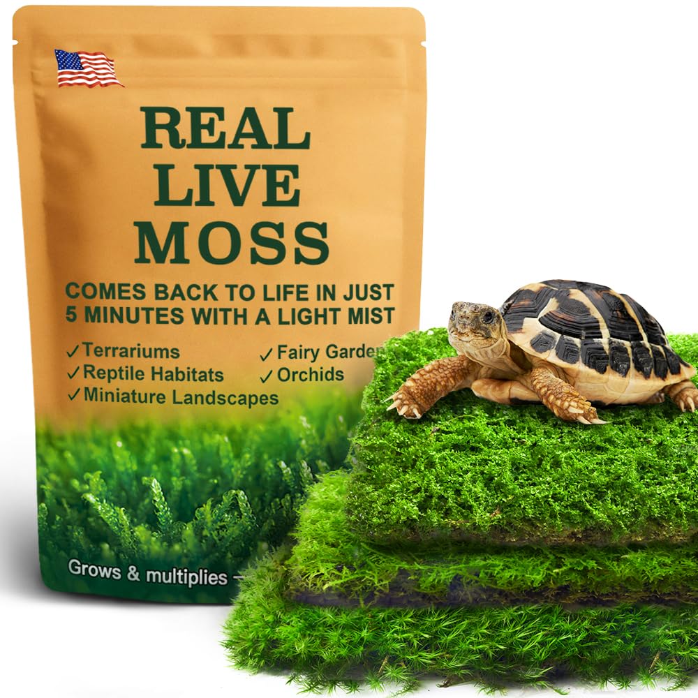LUCKYRUNES live moss pack sheets 3.5x7 close-up for reptile enclosures and humidity retention.