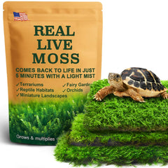 LUCKYRUNES live moss pack sheets 3.5x7 close-up for reptile enclosures and humidity retention.
