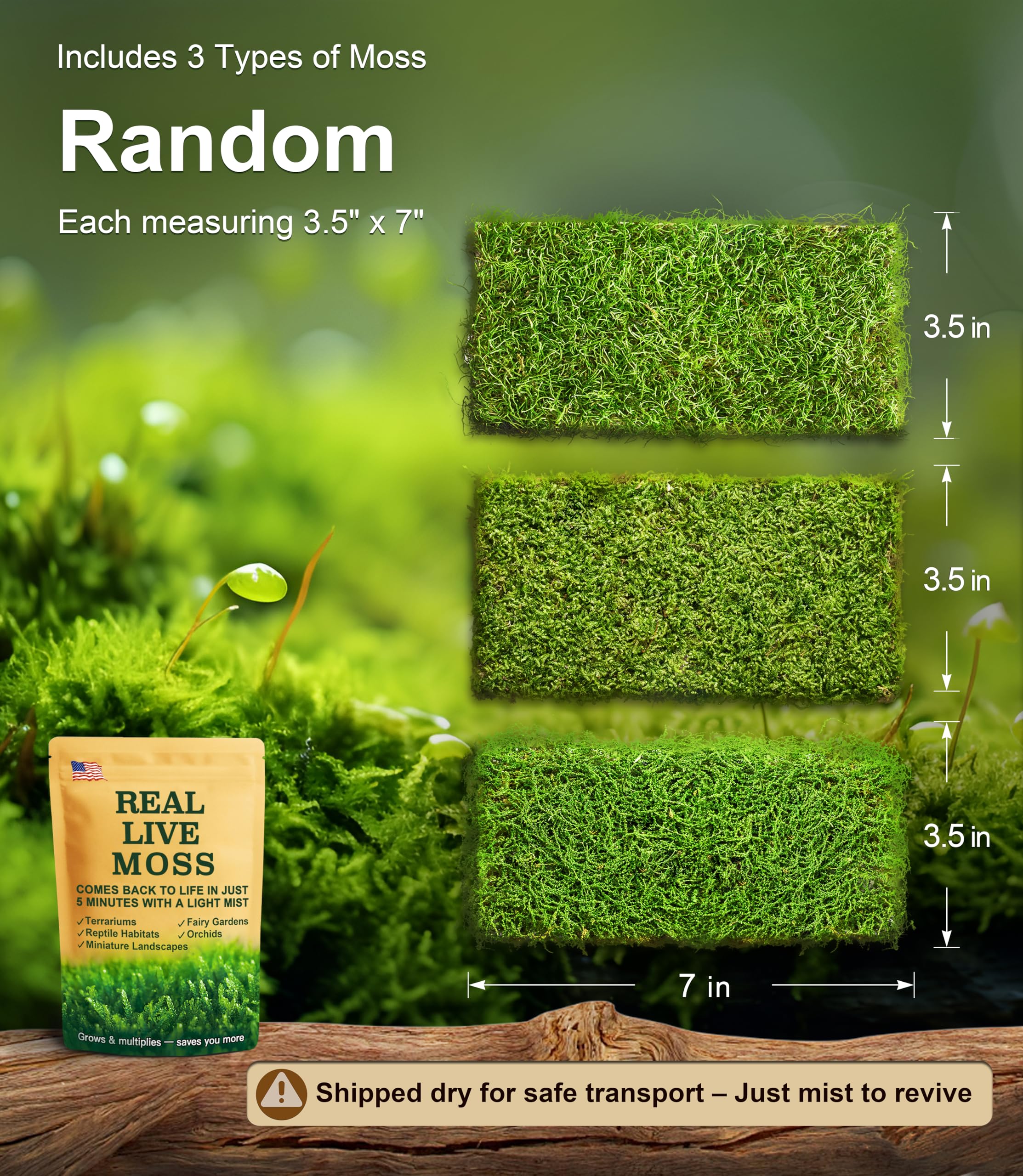 LUCKYRUNES live moss pack sheets 3.5x7 showing natural texture for terrariums.