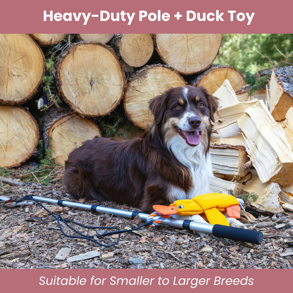 luclove duck lure squeaker for multisensory play