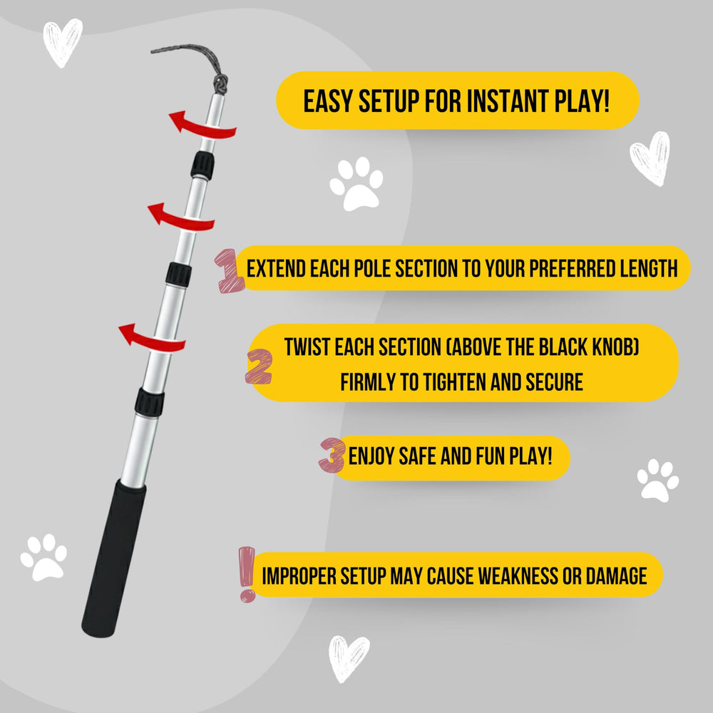 LUCOLOVE backyard play setup turning yard into an engaging dog gym