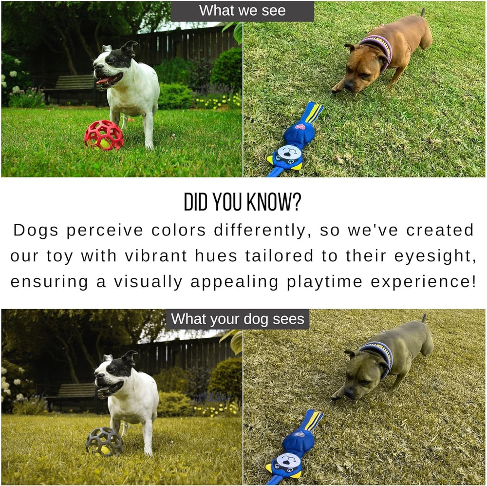 LUCOLOVE teaser supports multi-dog play and interactive training