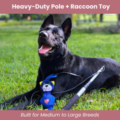 LUCOLOVE raccoon lure with rope ball and squeaker for multi-sensory play