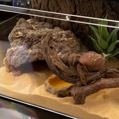 LUCOSIU Reptile Rock Cave Hideout in bearded dragon habitat highlighting resting and hiding