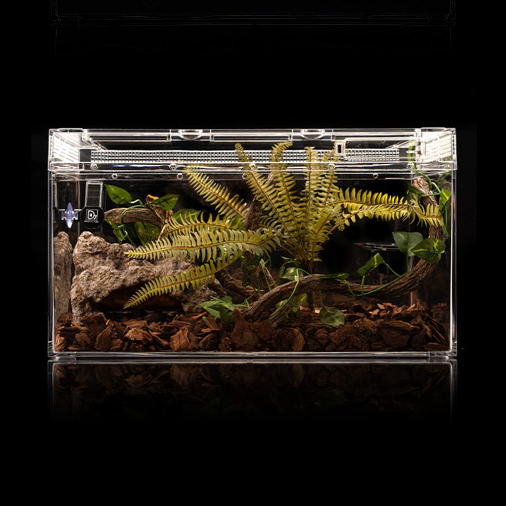 LUCOSIU reptile rock cave hideout interior space supports comfortable lounging and hiding.