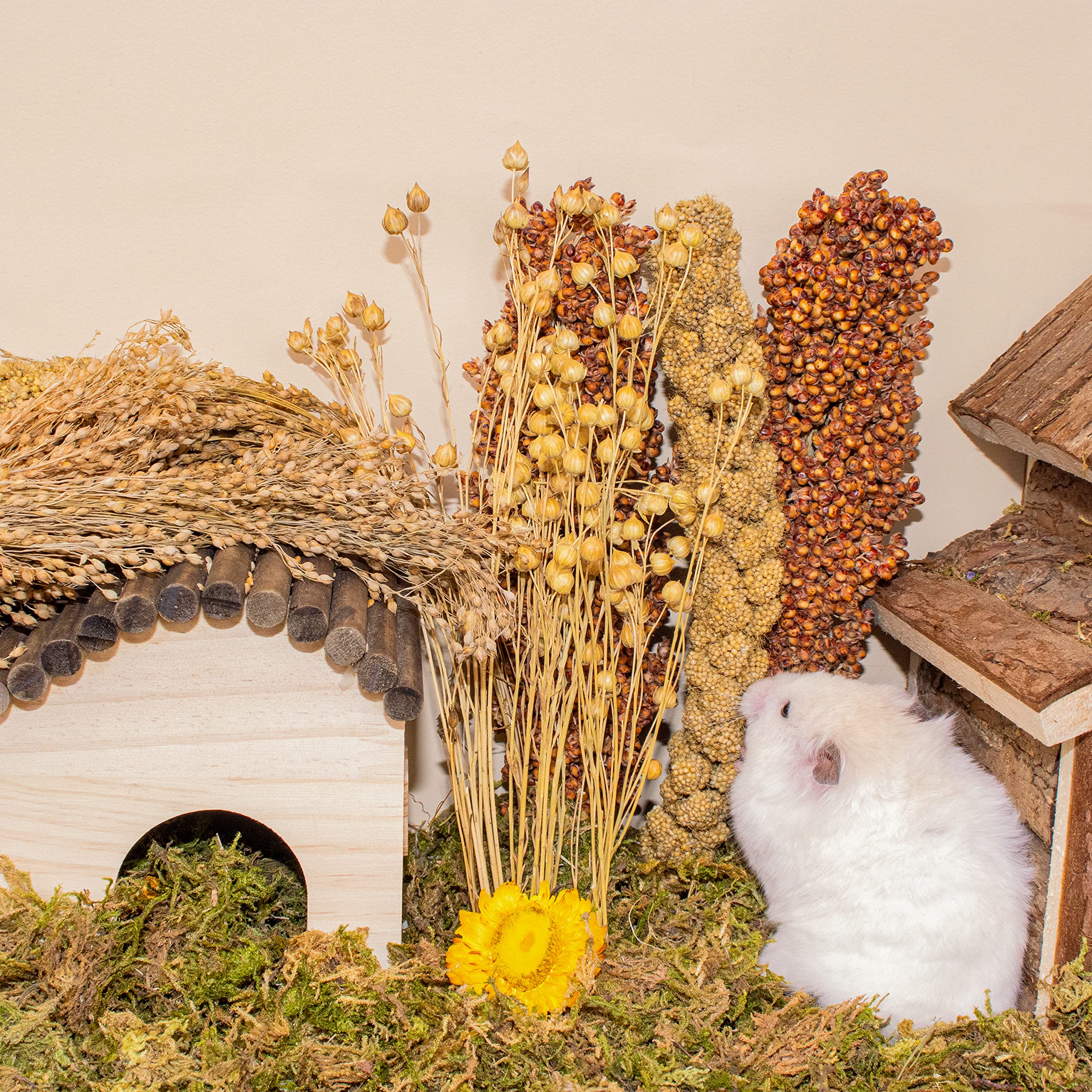 LUVCOSY Sprays Set in enclosure decor for enrichment and energy.