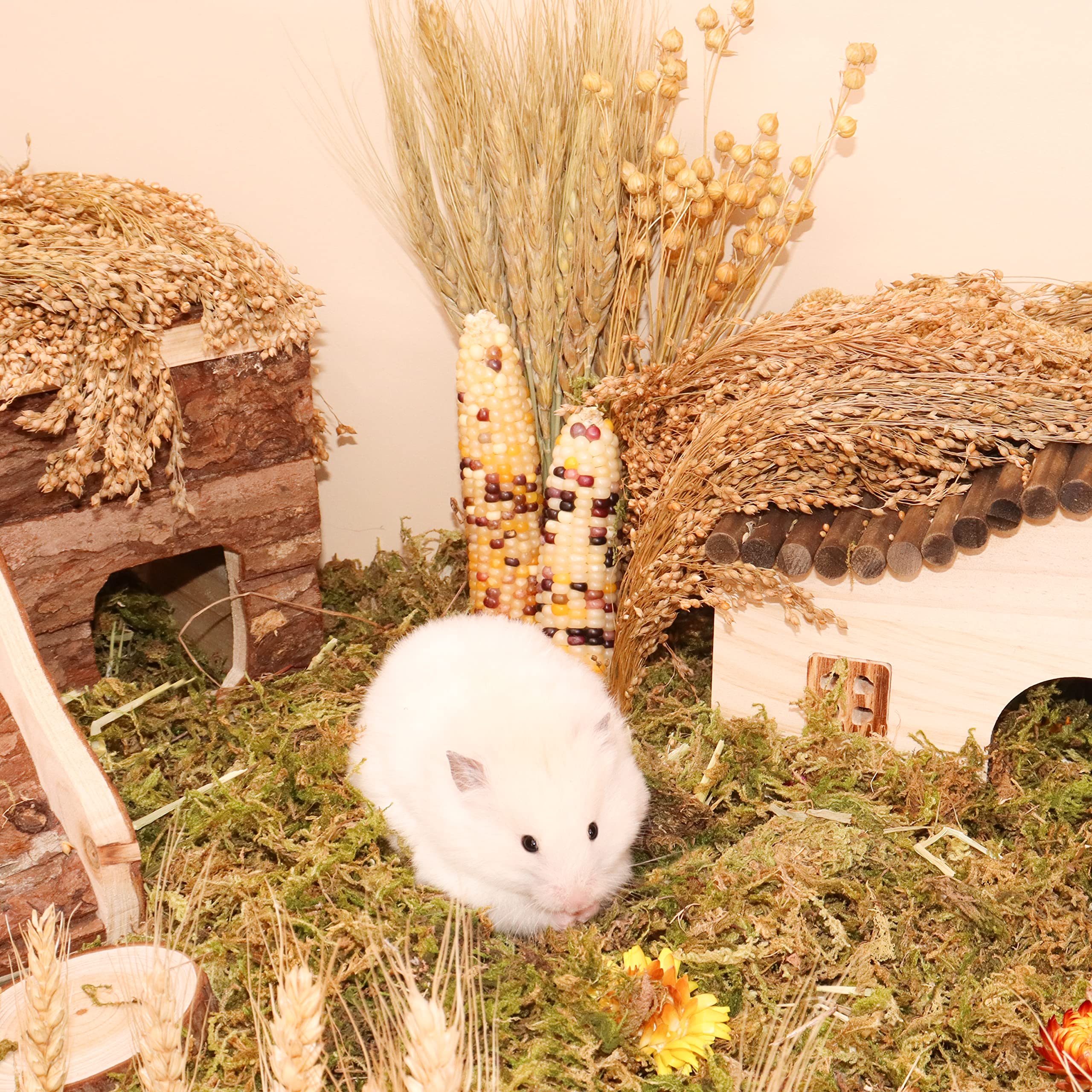 LUVCOSY Sprays Set appeals to Syrian hamsters and small pets.