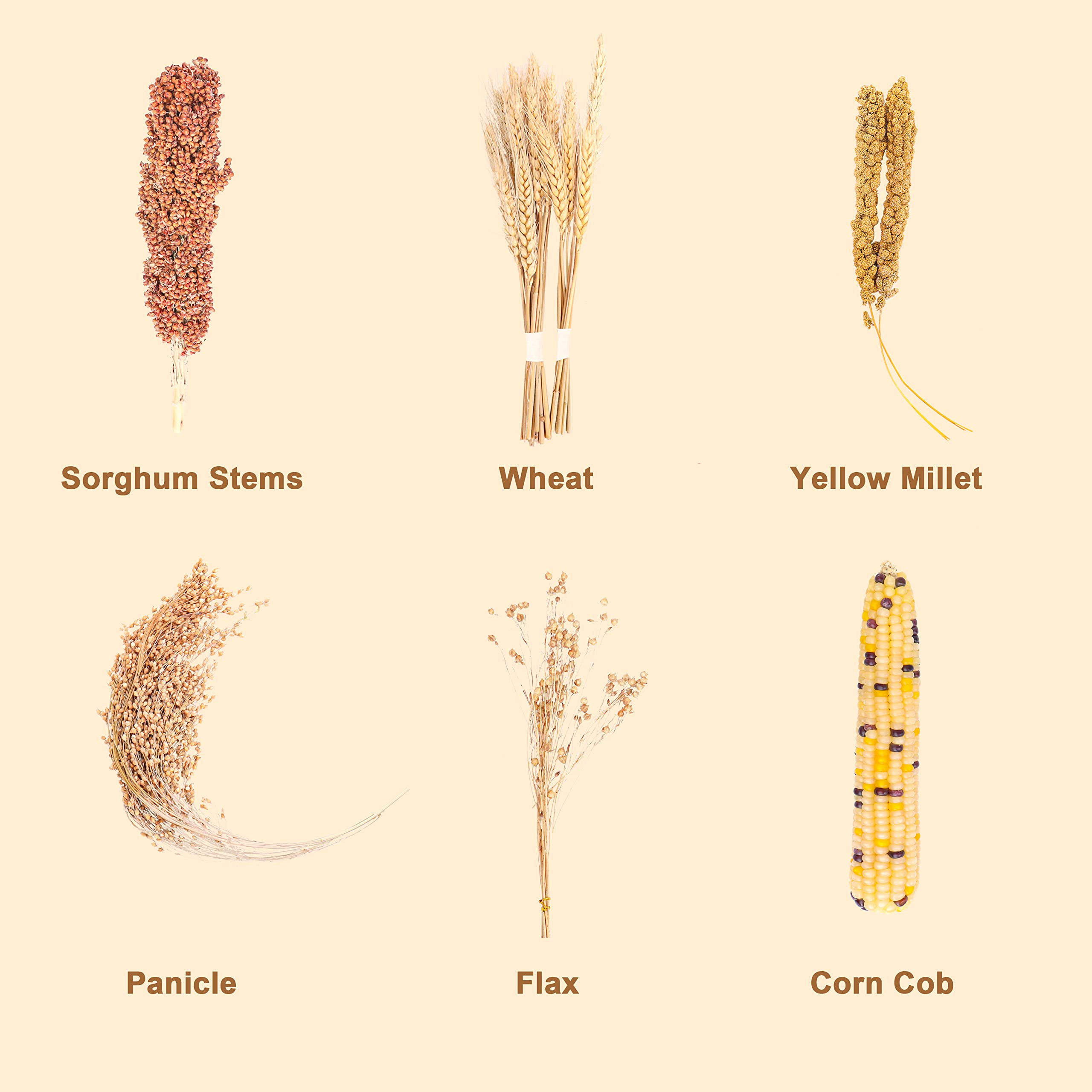 LUVCOSY Sprays Set Panicle Millet boosts foraging energy in hamsters.