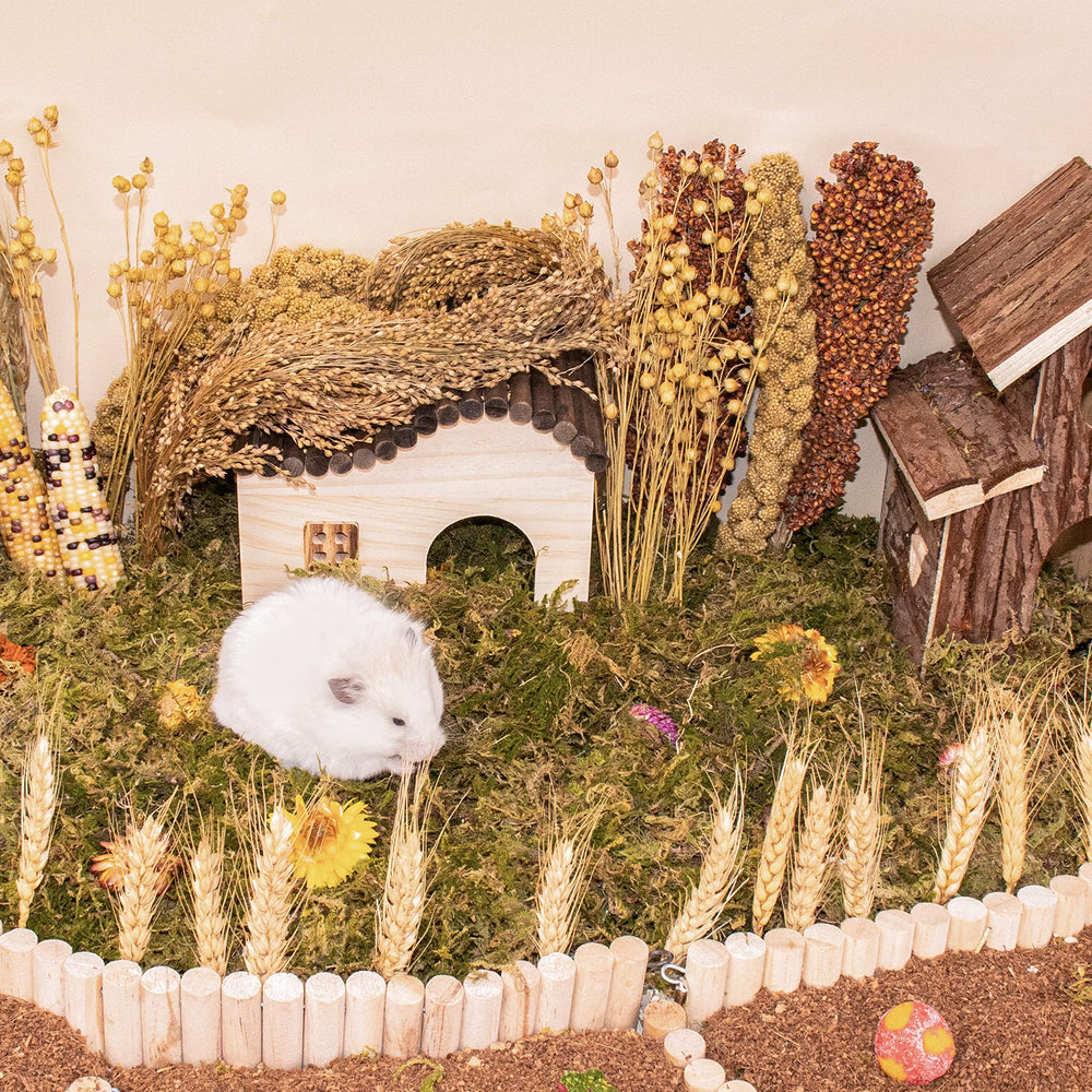 LUVCOSY Sprays Set Sorghum Stems add natural scenery and burrow games.