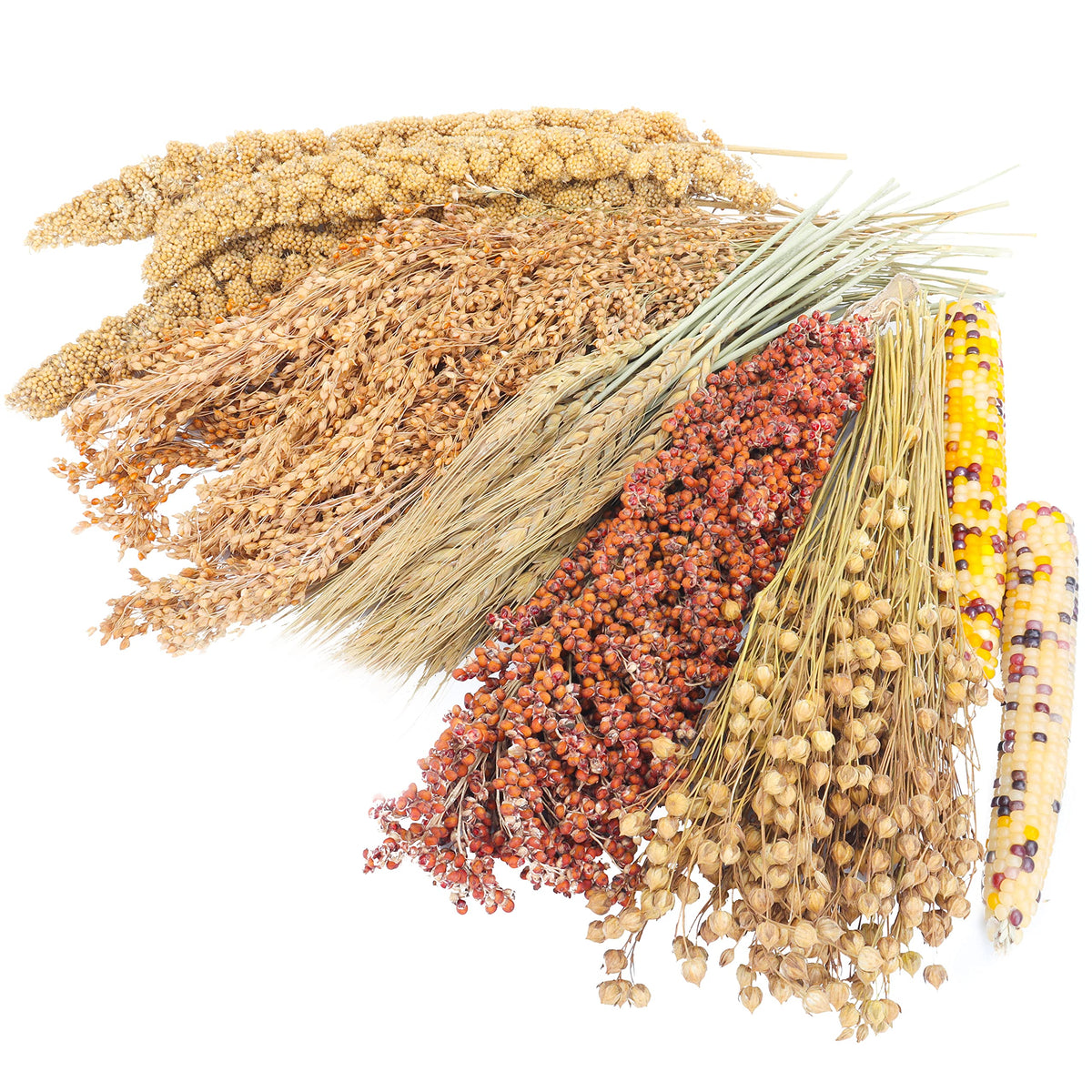 LUVCOSY Sprays Set with wheat and flax provides natural bedding for small pets.