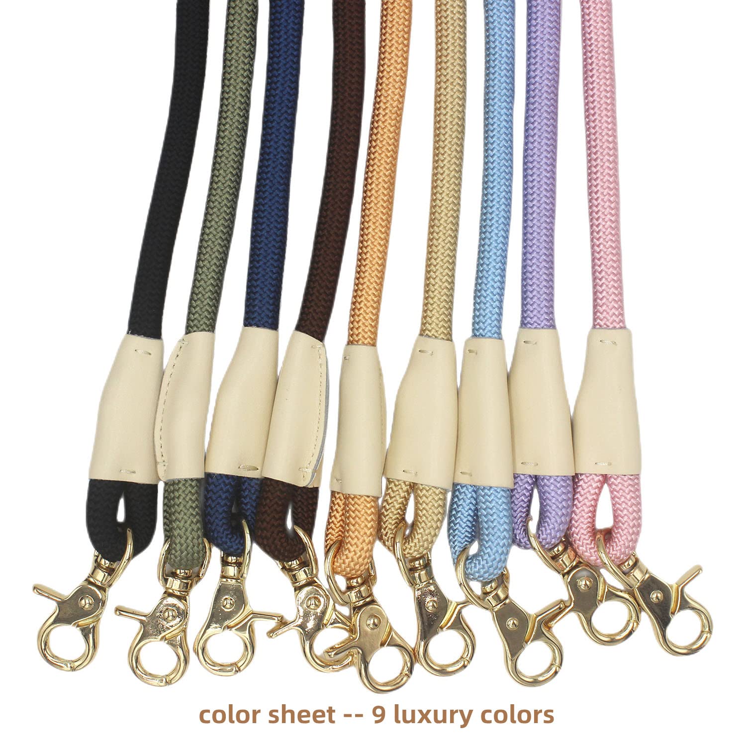 Lucpawz Leash in dog-walking scenario emphasizes reliable control for everyday use.