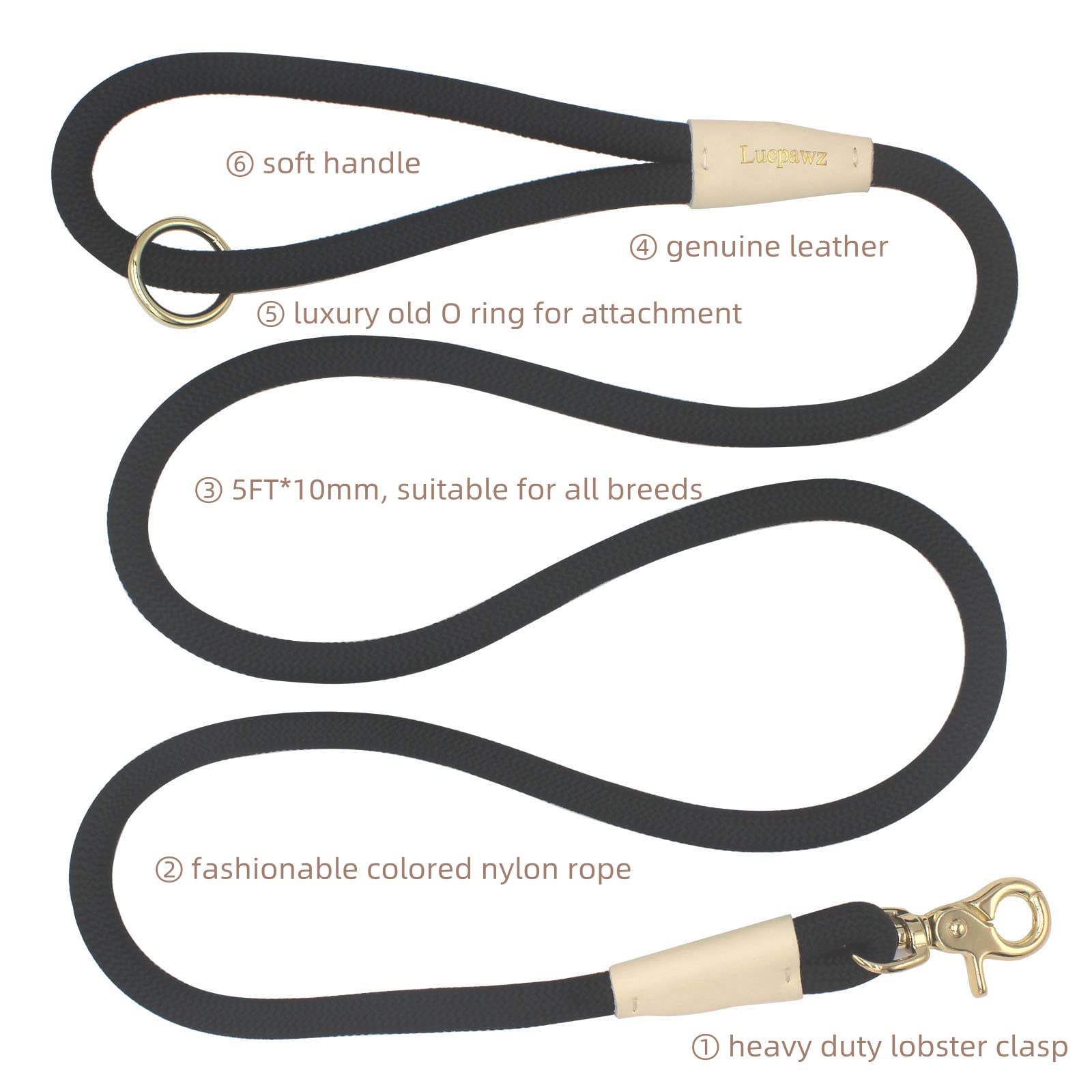 Lucpawz Lobster Snap Leash side view highlighting the soft ergonomic handle.