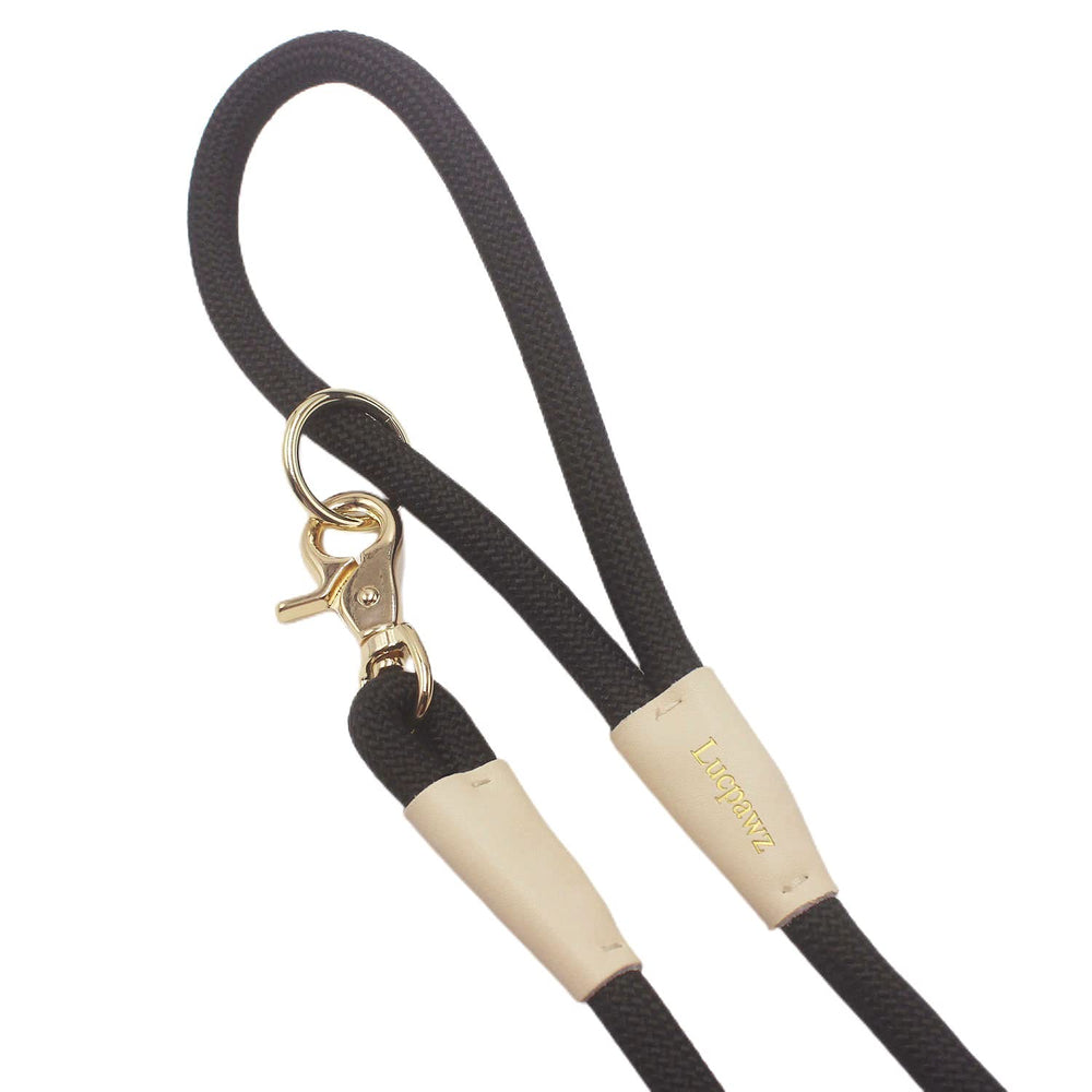 Lucpawz Lobster Snap Leash close-up of the light gold snap for secure fastening.