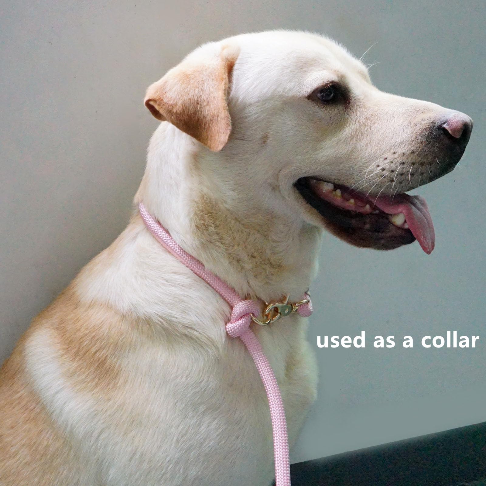 Lucpawz 4ft short-leash mode supports walking two dogs with control.