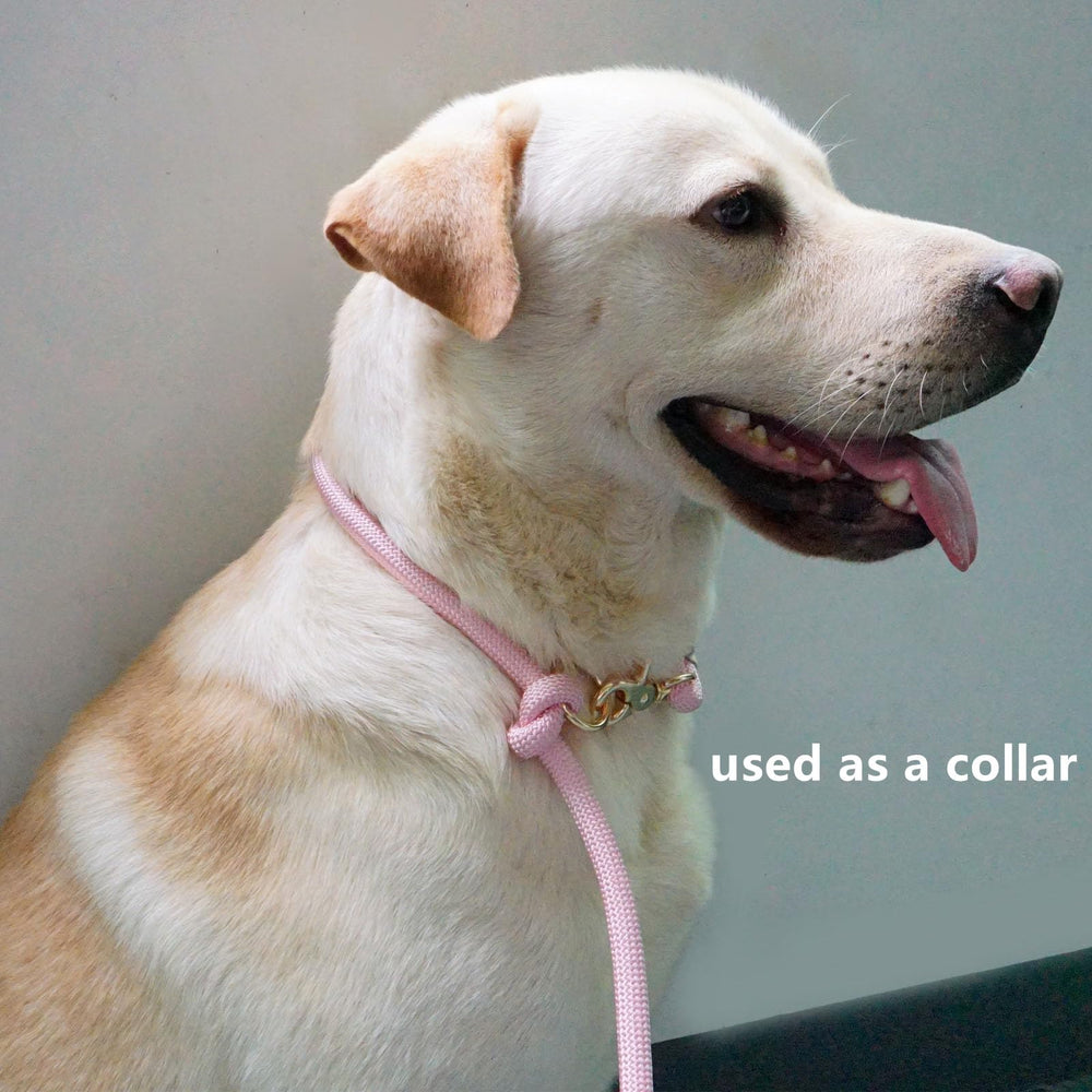 Lucpawz 4ft short-leash mode supports walking two dogs with control.