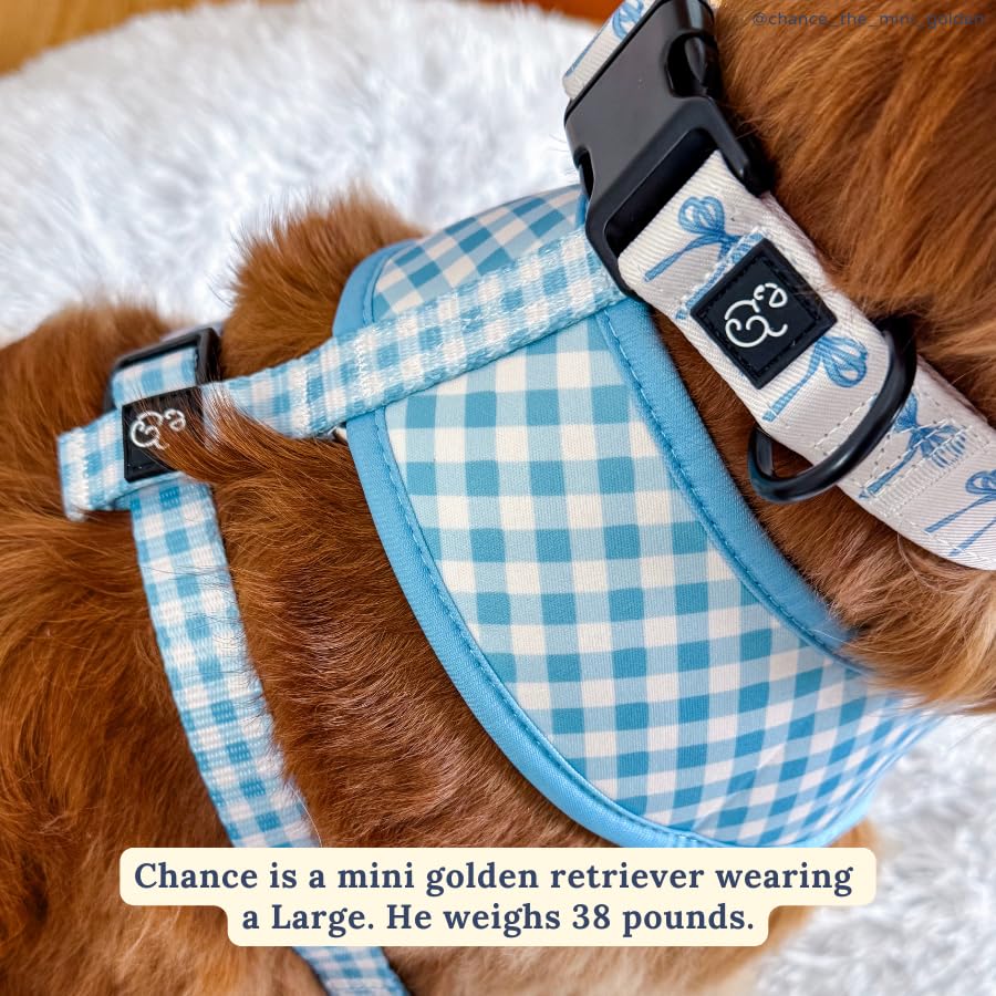 Lucy & Co. dog collar offers a variety of patterns to suit every pet.