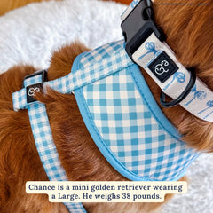Lucy & Co. dog collar offers a variety of patterns to suit every pet.