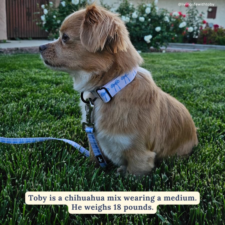 Lucy & Co. dog collar features a quick-release buckle for easy on and off.