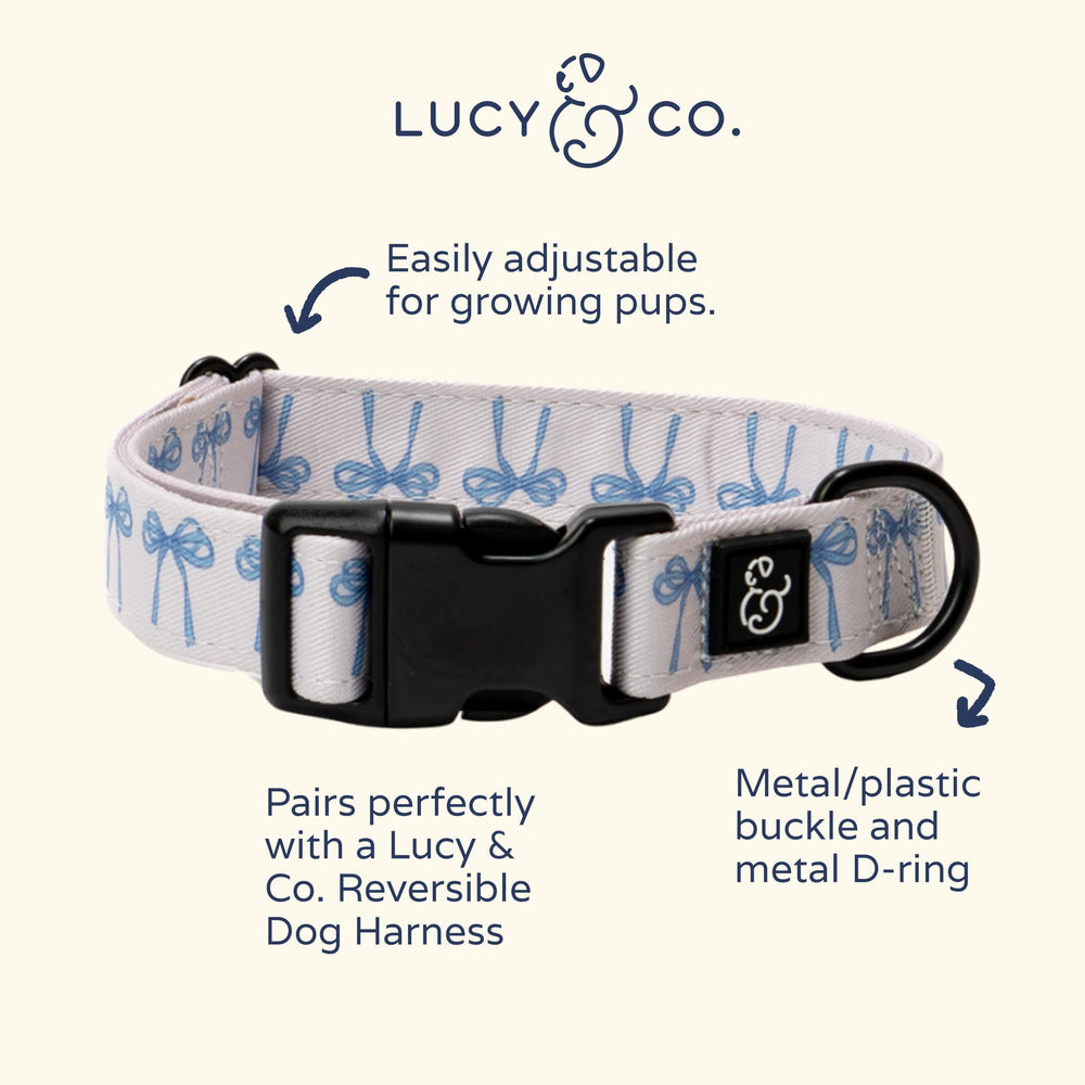 Lucy & Co. dog collar in white with blue bows for stylish daily wear.