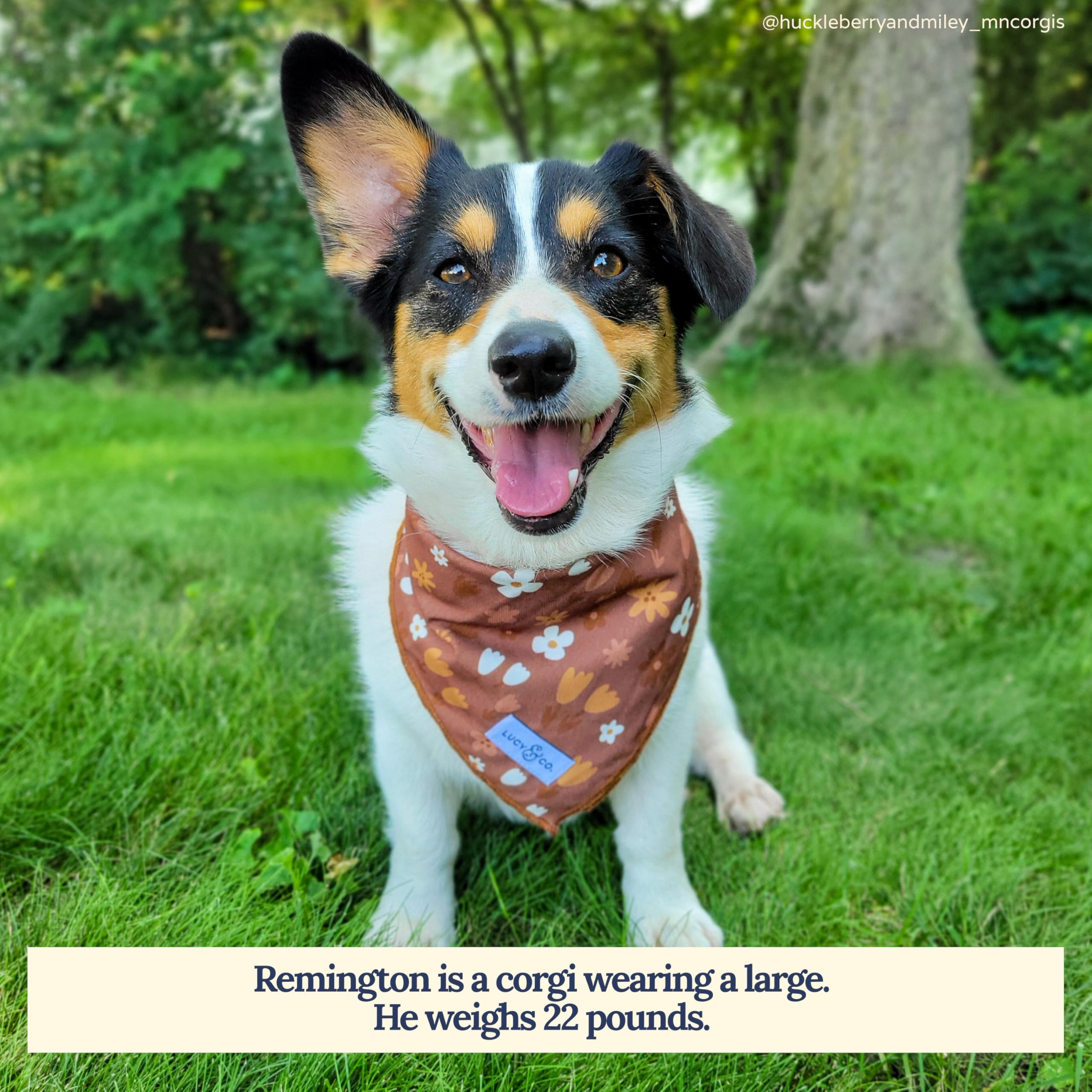 Lucy & Co. Chocolate Meadows bandana design detail in brown and white floral print