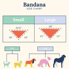 Lucy & Co. Chocolate Meadows bandana during an outdoor walk shows versatile style