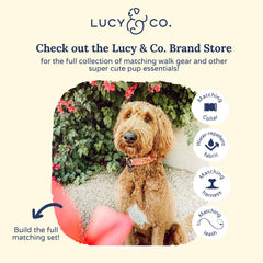 Lucy & Co. Posy Pink holder with adjustable strap for hands-free wear during walks.