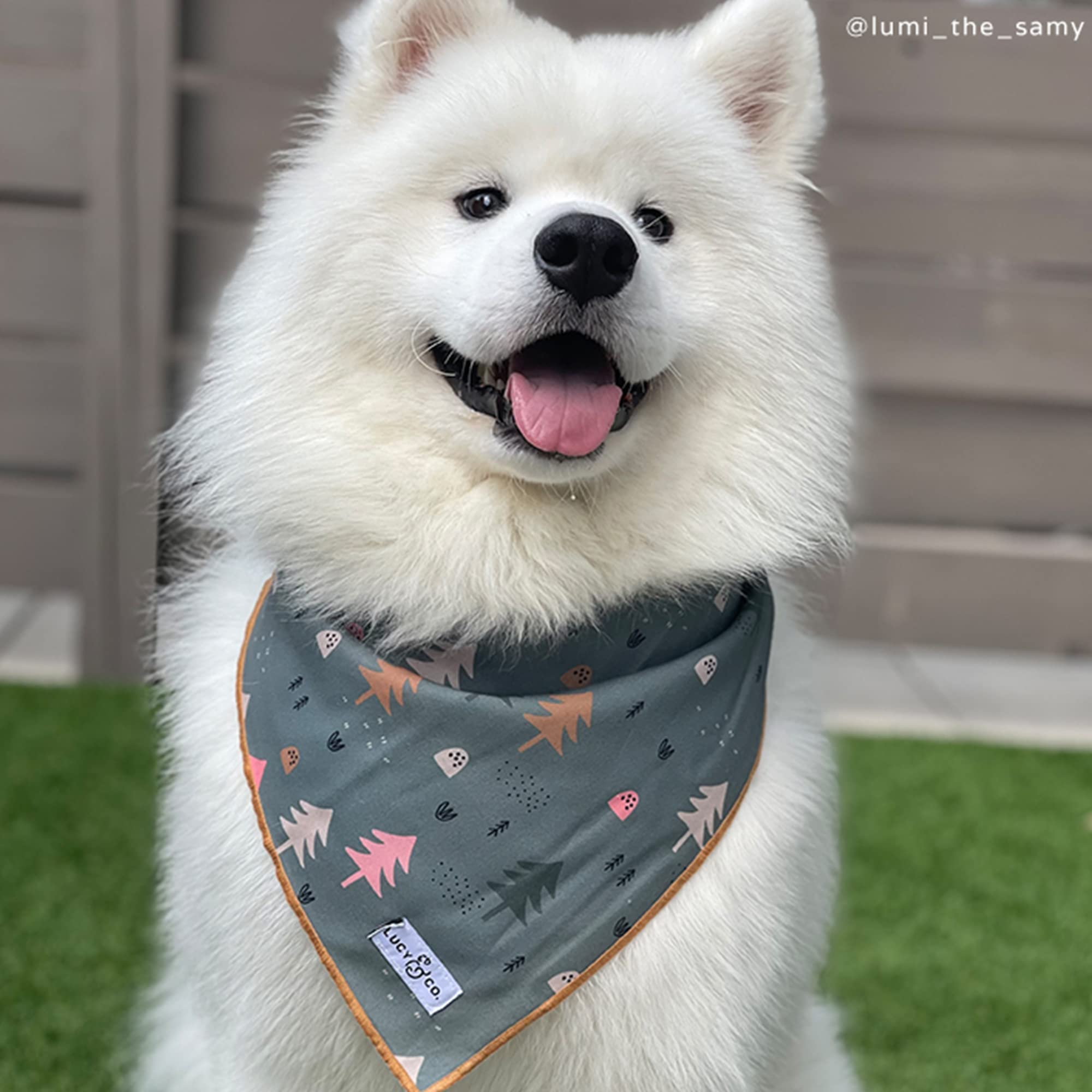 Lucy & Co blue trees bandana shown on a dog for photoshoot-ready outdoor style.