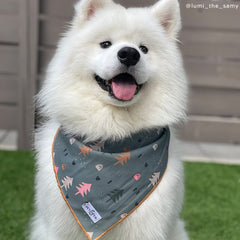 Lucy & Co blue trees bandana shown on a dog for photoshoot-ready outdoor style.
