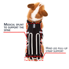 LufeLux back brace featuring three D-rings for enhanced leash options.