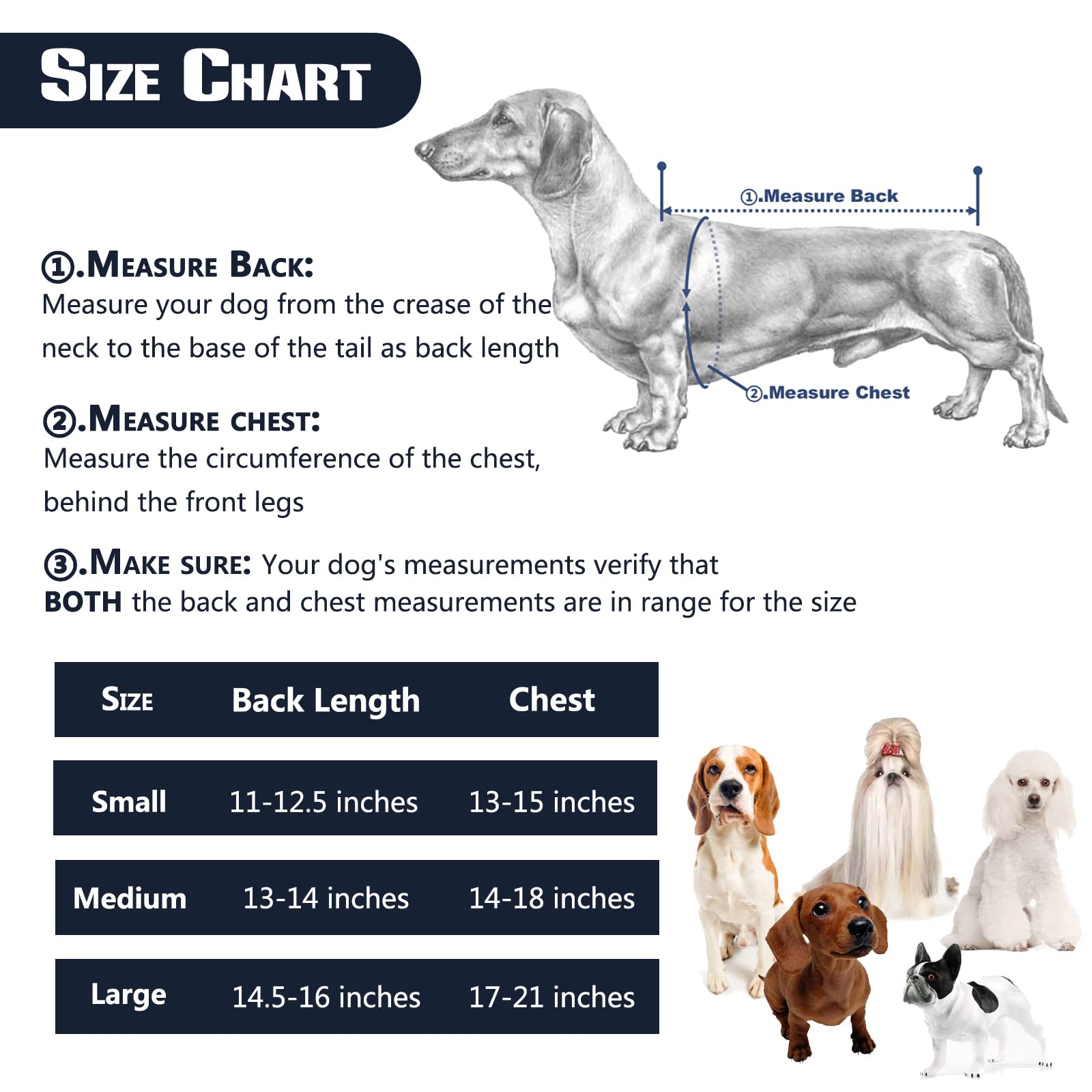 LufeLux large back brace fits bigger dogs and dachshunds comfortably.