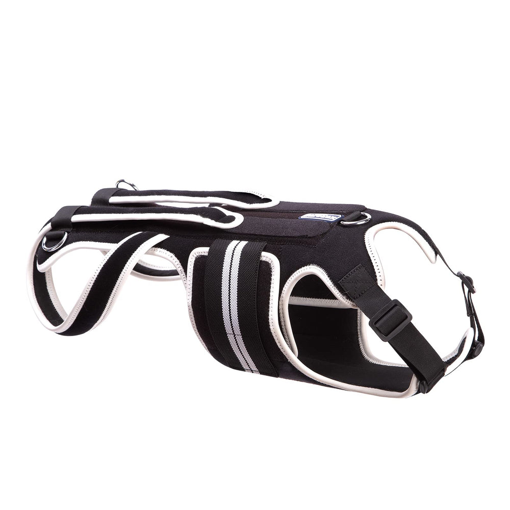 LufeLux back brace with rigid medical splint stabilizes the dog's spine during movement.