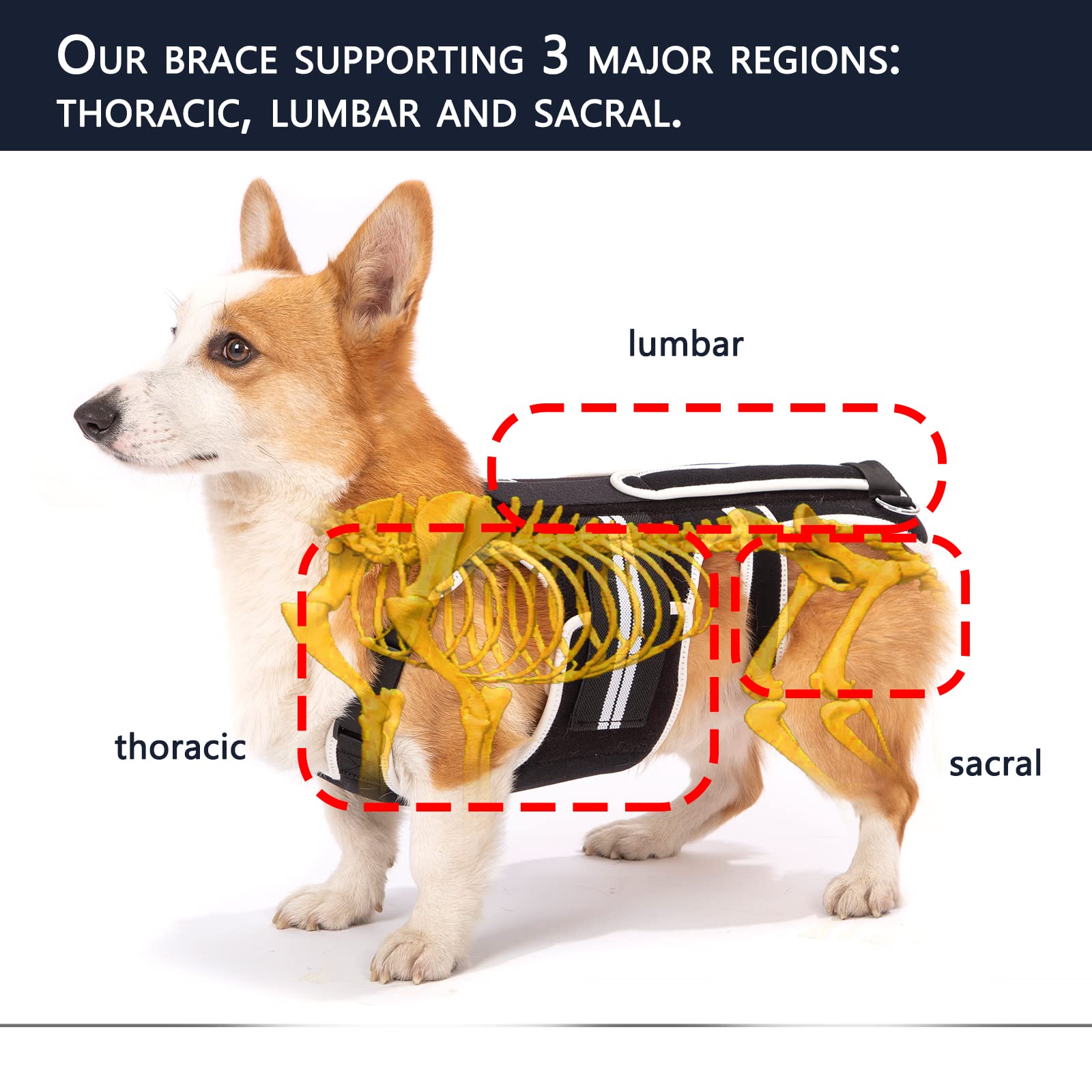 LufeLux back brace made with breathable medical-grade fabric for comfort.