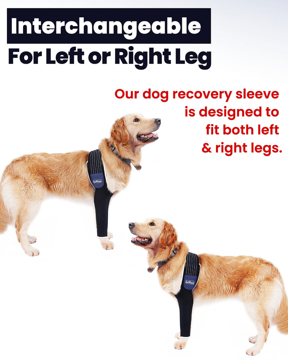 LufeLux left-right symmetric design enables versatile use on either front leg.