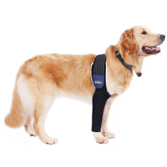 LufeLux dog front leg sleeve XLarge on a dog's front leg protects wound and reduces licking.