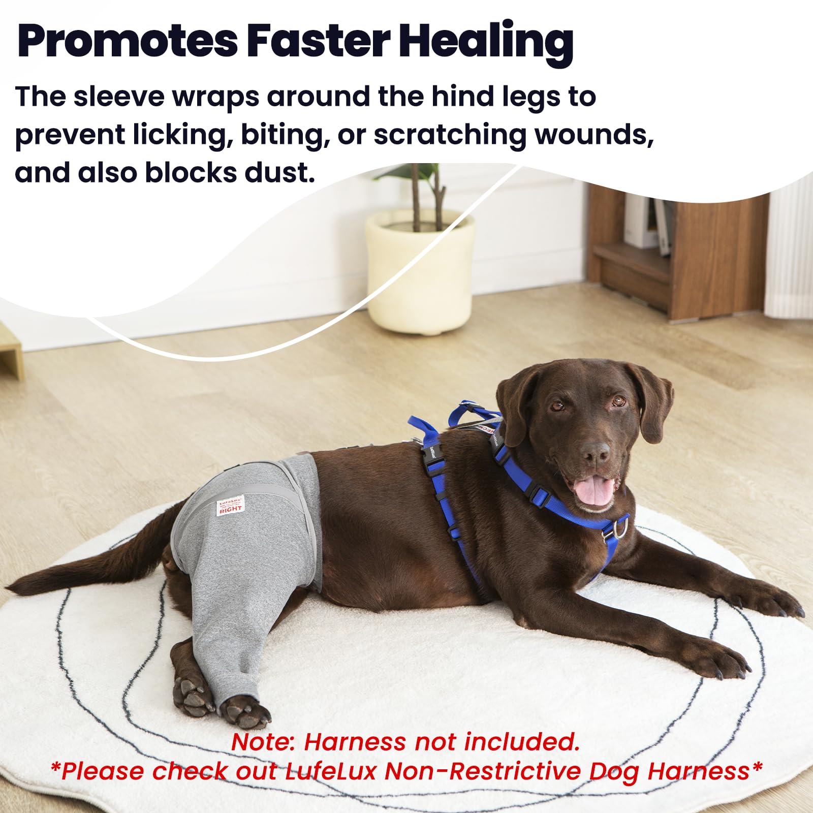 LufeLux dog leg sleeve connect-belt locks around abdomen for a secure, non-slip fit.