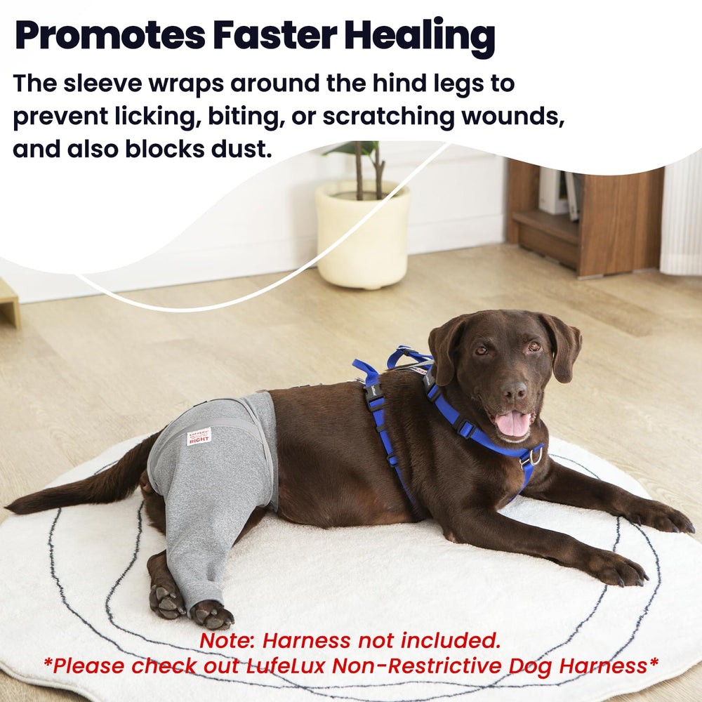 LufeLux dog leg sleeve connect-belt locks around abdomen for a secure, non-slip fit.