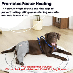 LufeLux dog leg sleeve connect-belt locks around abdomen for a secure, non-slip fit.