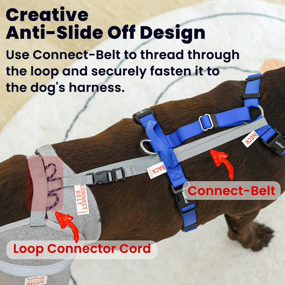 LufeLux dog leg sleeve is machine washable for easy long-term care.