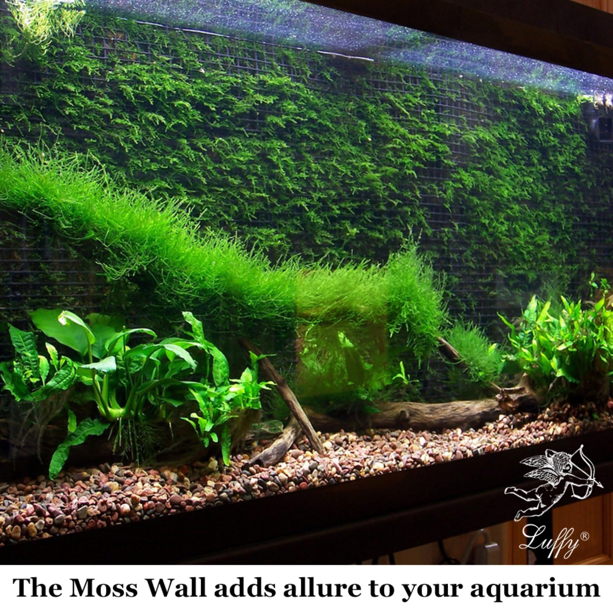 Luffy aquarium decor net pad supports aquatic plants to improve habitat feel and filtration.