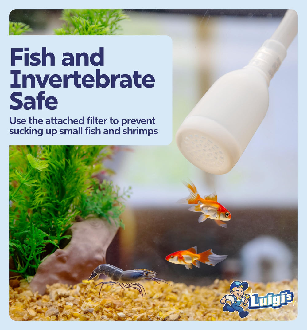 Water change demonstration with Luigi's cleaner showing rapid tank refresh